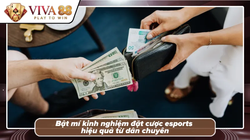 Chia sẻ kinh nghiệm đặt cược esports dễ thắng từ cao thủ