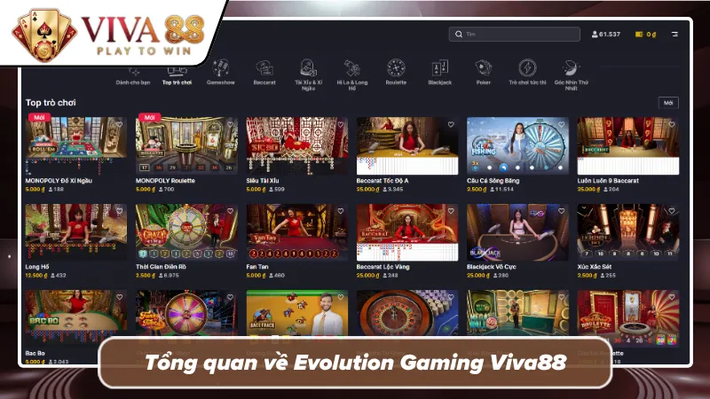 Hệ thống bàn sòng bài trực tiếp góc quay sắc nét HD 