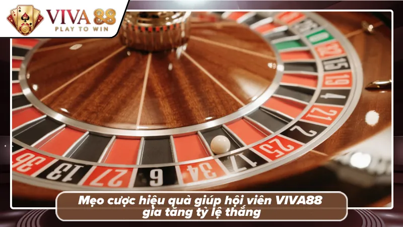Mẹo cược cực đơn giản từ lão làng